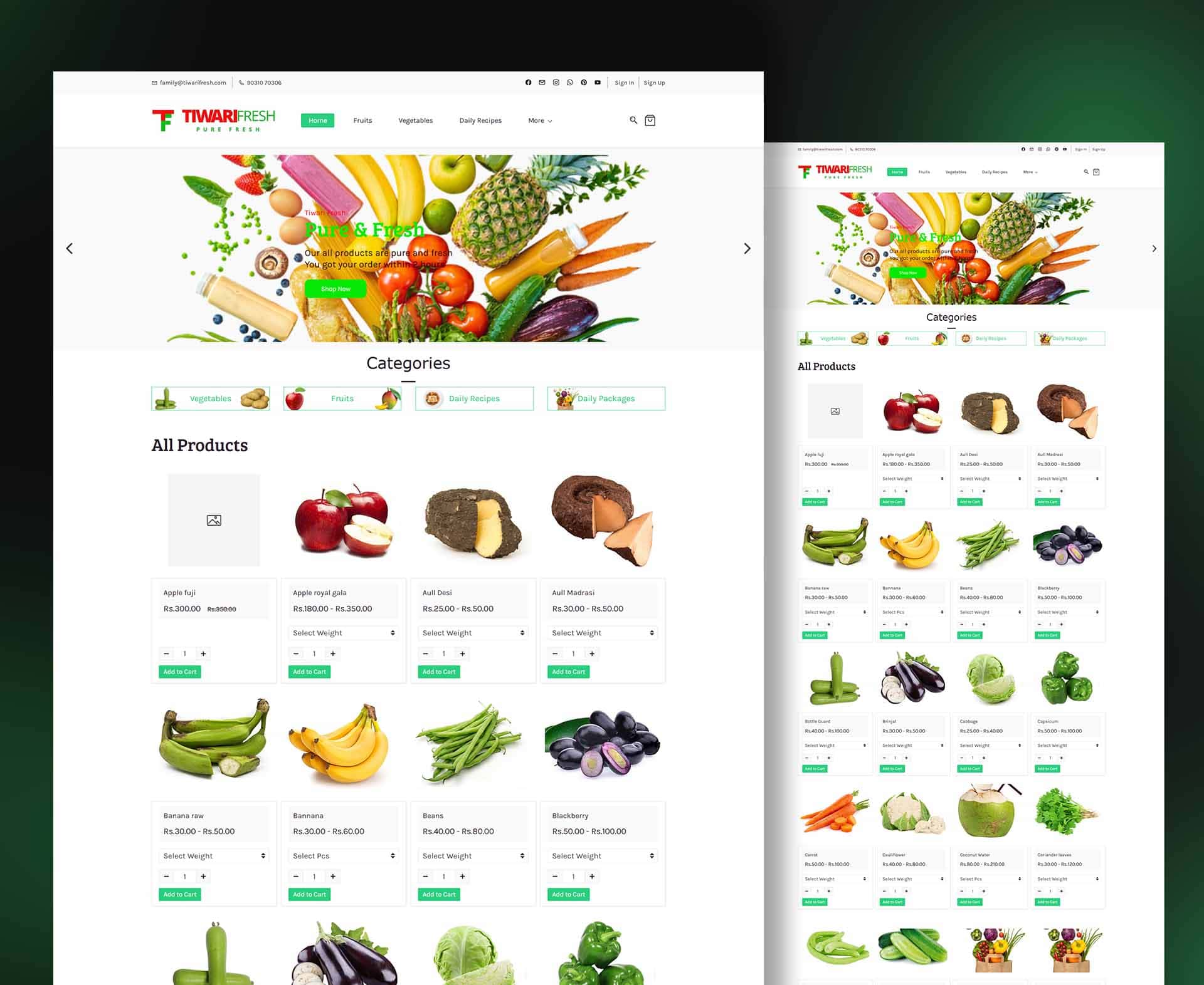 Rimobit Infotech | Web Development, App Development & Digital Marketing